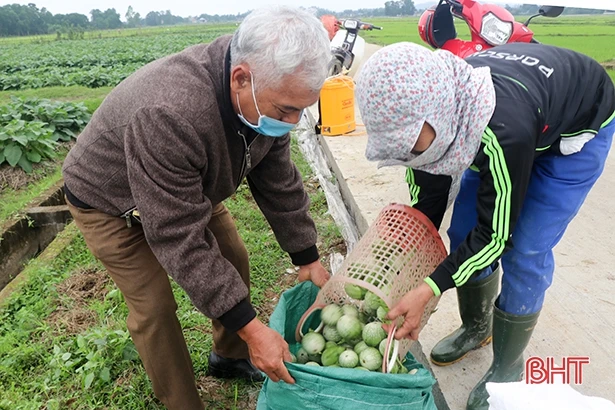 Can Lộc xây dựng thêm 16 sản phẩm tham gia OCOP năm 2022