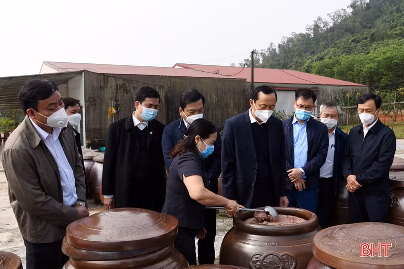 Các địa phương Hà Tĩnh sôi nổi ra quân trồng cây đầu xuân