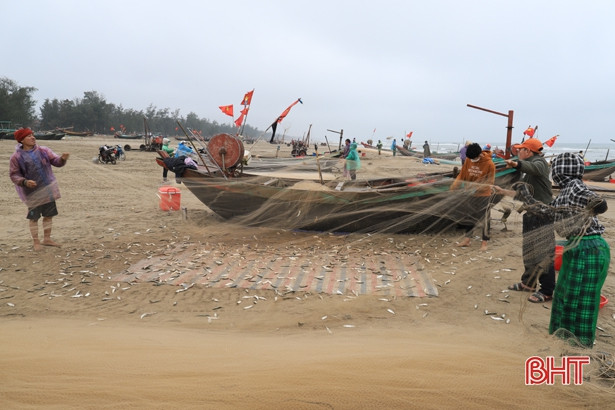 Ngư dân Nghi Xuân đón “lộc biển” đầu năm