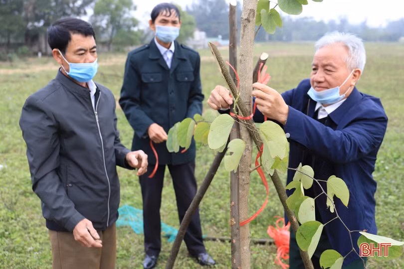 Các địa phương Hà Tĩnh sôi nổi ra quân trồng cây đầu xuân