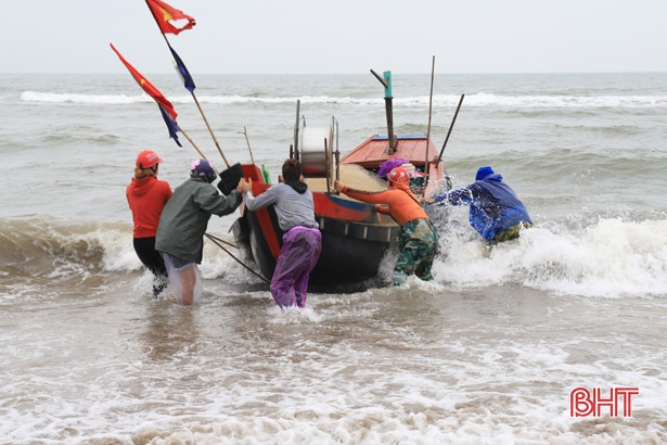 Ngư dân Nghi Xuân đón “lộc biển” đầu năm