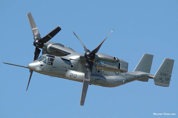 chiem nguong suc manh chim ung bien v 22 osprey