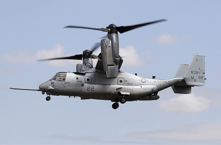 chiem nguong suc manh chim ung bien v 22 osprey