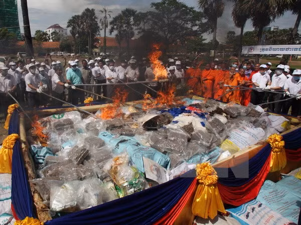 campuchia va myanmar tien hanh tieu huy luong lon ma tuy
