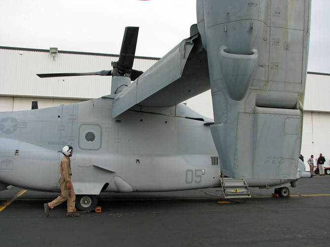 chiem nguong suc manh chim ung bien v 22 osprey