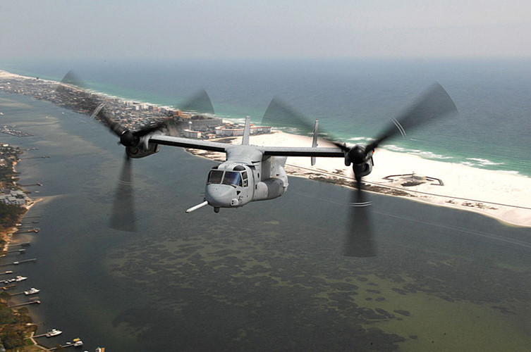 chiem nguong suc manh chim ung bien v 22 osprey