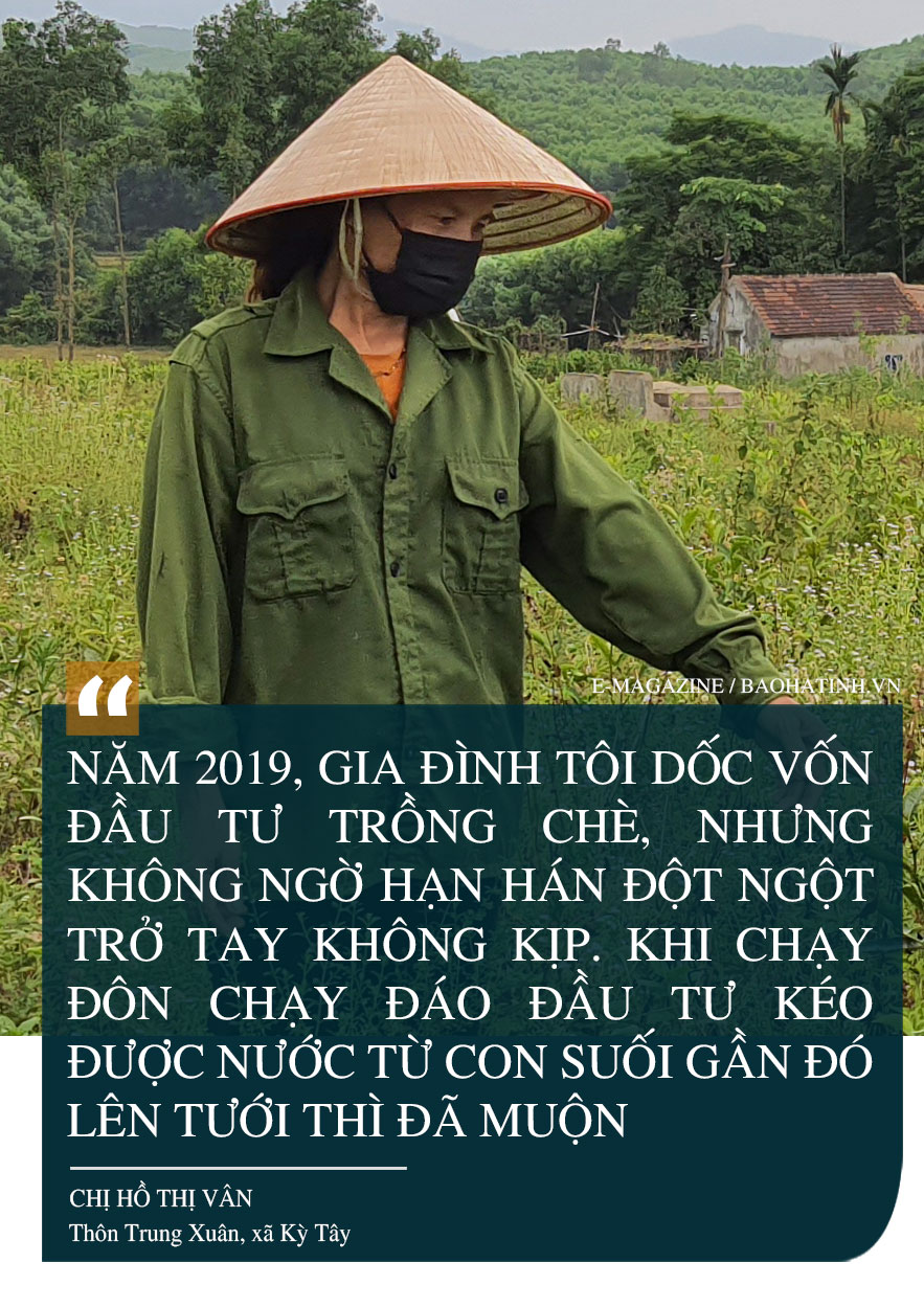 Phát triển xứng tầm cây chè nguyên liệu trên vùng thượng Kỳ Anh (bài 2): Cần chiến lược đầu tư bài bản