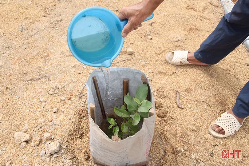 Hiệu quả từ các mô hình xử lý nước thải sinh hoạt ở Hà Tĩnh