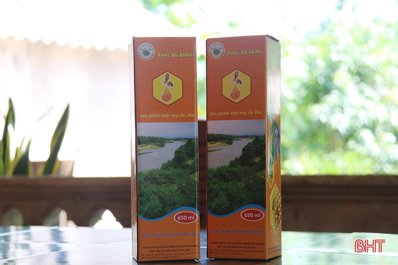 Chuyện về lão nông Hà Tĩnh thoát nghèo nhờ nuôi ong lấy mật