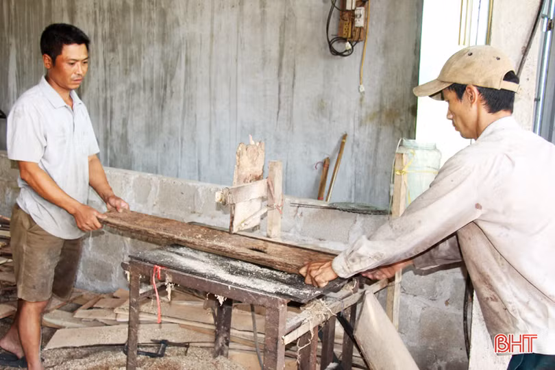 Từ cây móc tự nhiên thành đũa mang thương hiệu