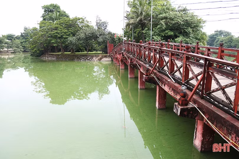 “Hồ Gươm thu nhỏ” ở phố núi Hà Tĩnh vẫn ô nhiễm nặng, mất tác dụng điều hòa