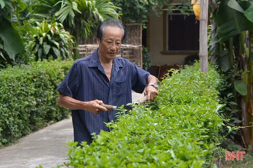 Đình Tứ Mỹ - tỏa sáng giá trị truyền thống cách mạng