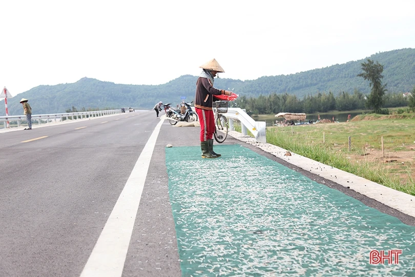 Ẩn hoạ tai nạn giao thông khi phơi hải sản trên tuyến đường ven biển Hà Tĩnh