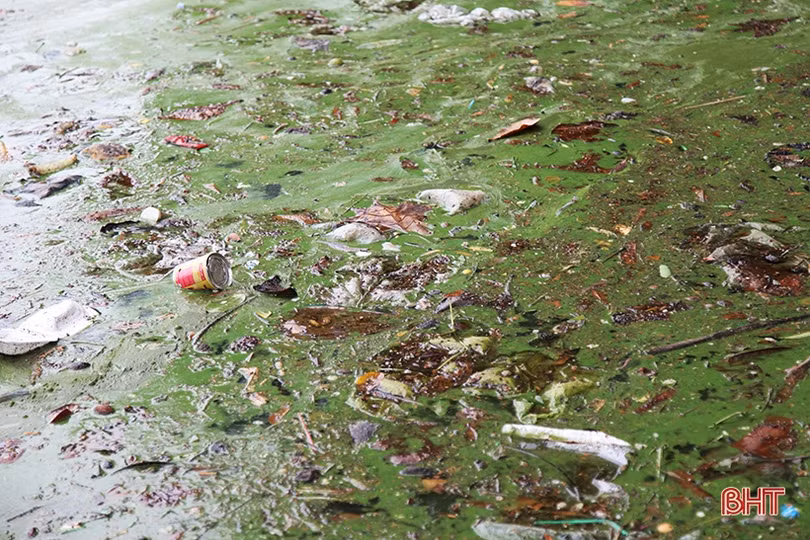 “Hồ Gươm thu nhỏ” ở phố núi Hà Tĩnh vẫn ô nhiễm nặng, mất tác dụng điều hòa