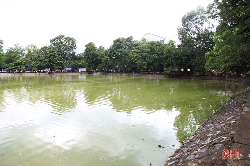 “Hồ Gươm thu nhỏ” ở phố núi Hà Tĩnh vẫn ô nhiễm nặng, mất tác dụng điều hòa