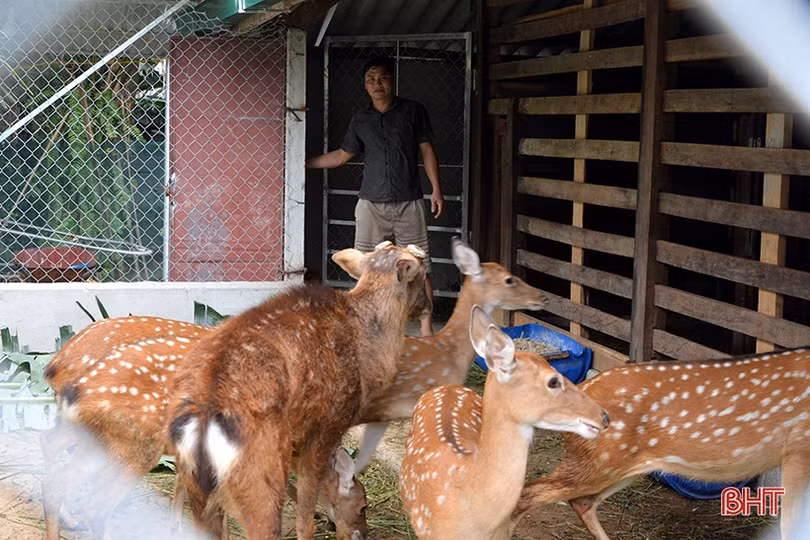 Đình Tứ Mỹ - tỏa sáng giá trị truyền thống cách mạng