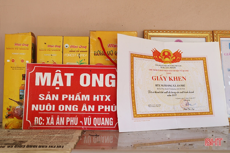 Chuyện về lão nông Hà Tĩnh thoát nghèo nhờ nuôi ong lấy mật