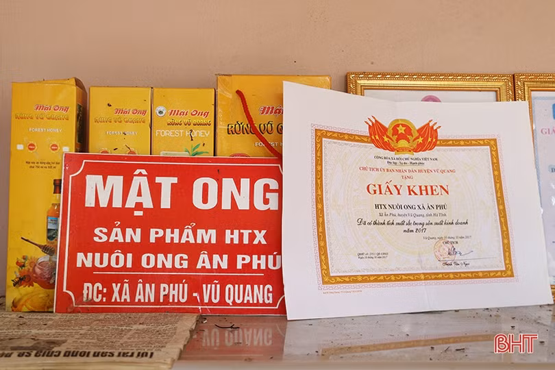 Chuyện về lão nông Hà Tĩnh thoát nghèo nhờ nuôi ong lấy mật