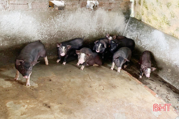 Cán bộ chiến sỹ trại giam ở Hà Tĩnh “cách ly” phòng dịch Covid-19