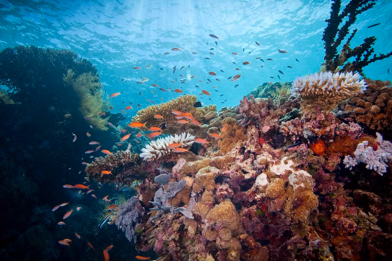 Cảnh đẹp hoàn hảo ở những quốc gia ít dân nhất thế giới