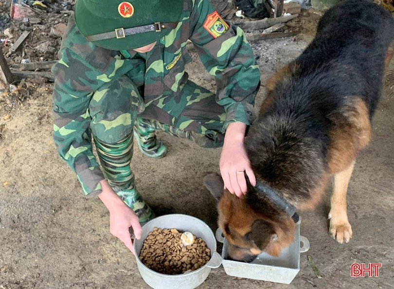 “Cộng sự đặc biệt” giúp lính Biên phòng Hà Tĩnh phát hiện các trường hợp nhập cảnh trái phép