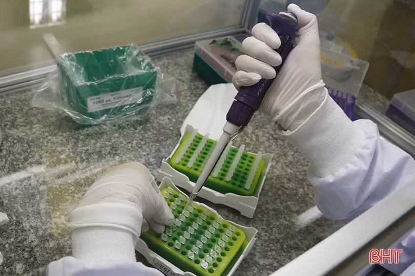 Quy trình xét nghiệm Covid-19 ở Hà Tĩnh diễn ra như thế nào?