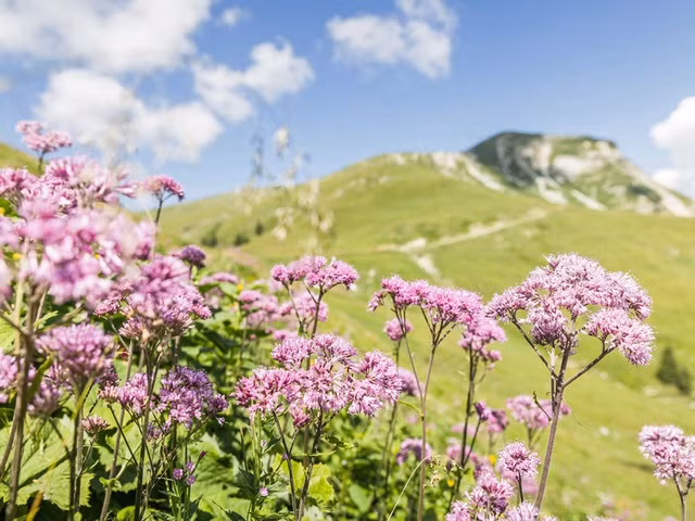 20 quốc gia đẹp nhất thế giới