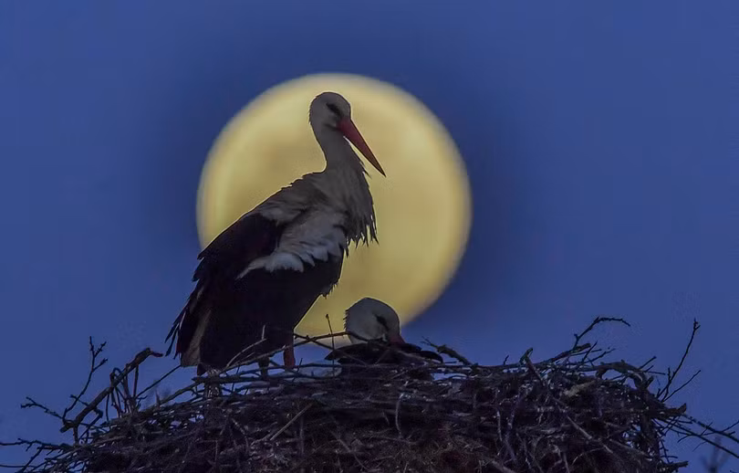 Siêu trăng lớn nhất năm rực sáng trên thế giới