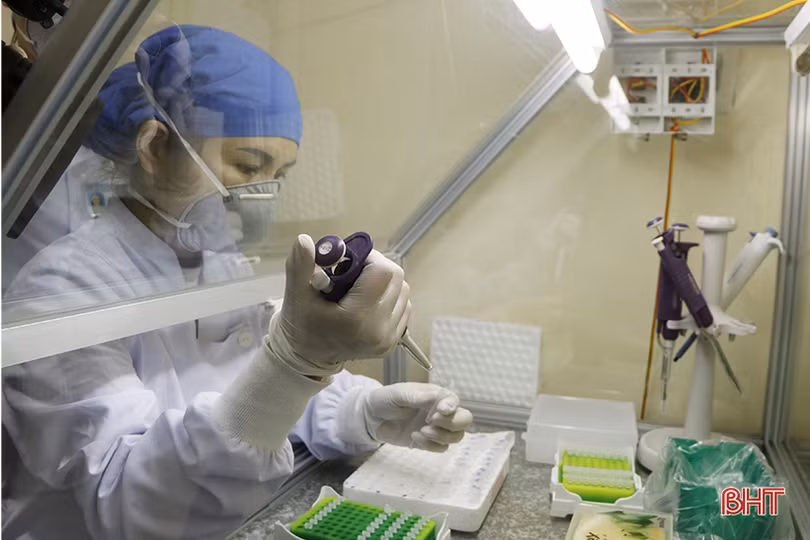 Quy trình xét nghiệm Covid-19 ở Hà Tĩnh diễn ra như thế nào?