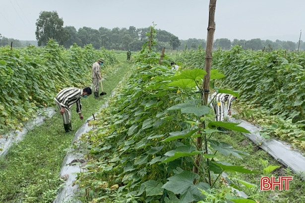 Cán bộ chiến sỹ trại giam ở Hà Tĩnh “cách ly” phòng dịch Covid-19