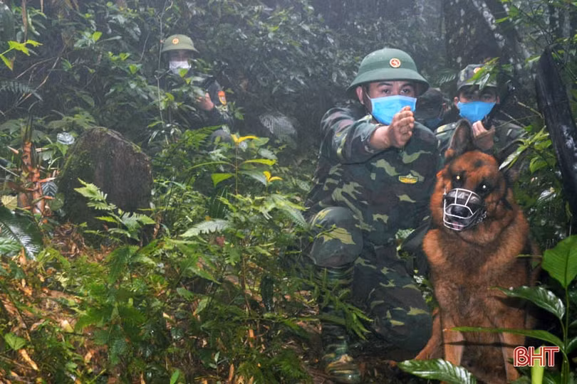 “Cộng sự đặc biệt” giúp lính Biên phòng Hà Tĩnh phát hiện các trường hợp nhập cảnh trái phép