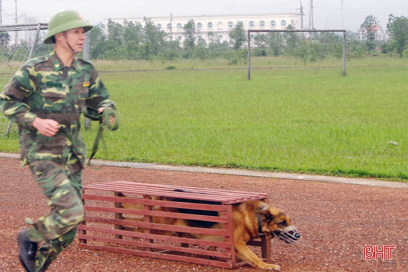 “Cộng sự đặc biệt” giúp lính Biên phòng Hà Tĩnh phát hiện các trường hợp nhập cảnh trái phép