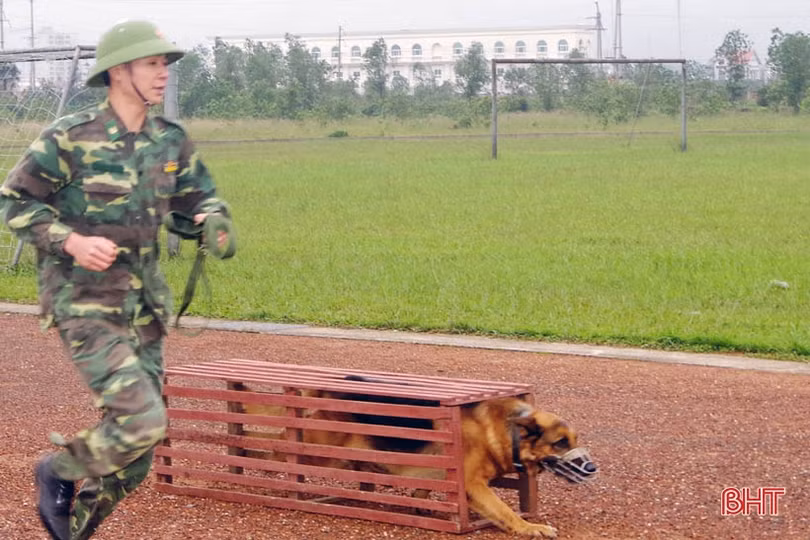 “Cộng sự đặc biệt” giúp lính Biên phòng Hà Tĩnh phát hiện các trường hợp nhập cảnh trái phép