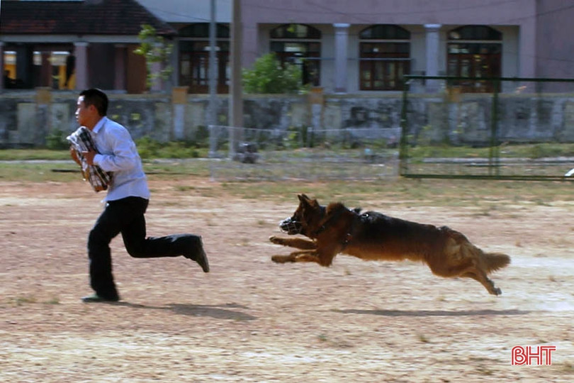 “Cộng sự đặc biệt” giúp lính Biên phòng Hà Tĩnh phát hiện các trường hợp nhập cảnh trái phép