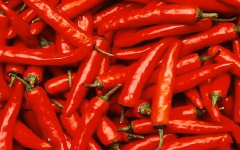 Thực phẩm giúp ngăn ngừa ung thư phổi hiệu quả