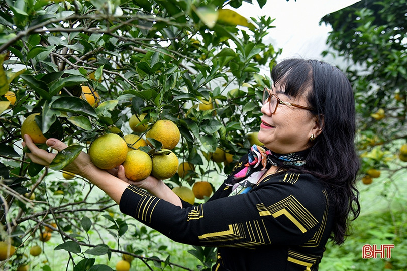 Văn nghệ sĩ đi thực tế sáng tác “Nông thôn Hà Tĩnh - Xưa và nay”