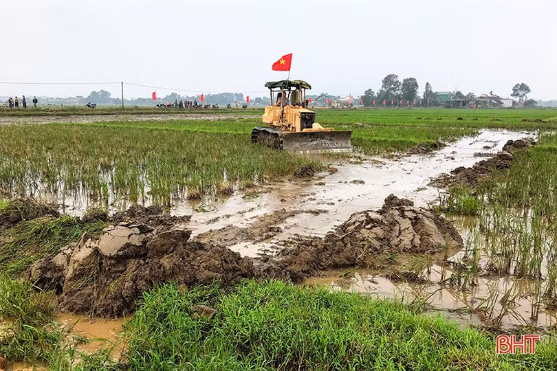 Hà Tĩnh khởi động cho mục tiêu tăng trưởng nông nghiệp 2,5%