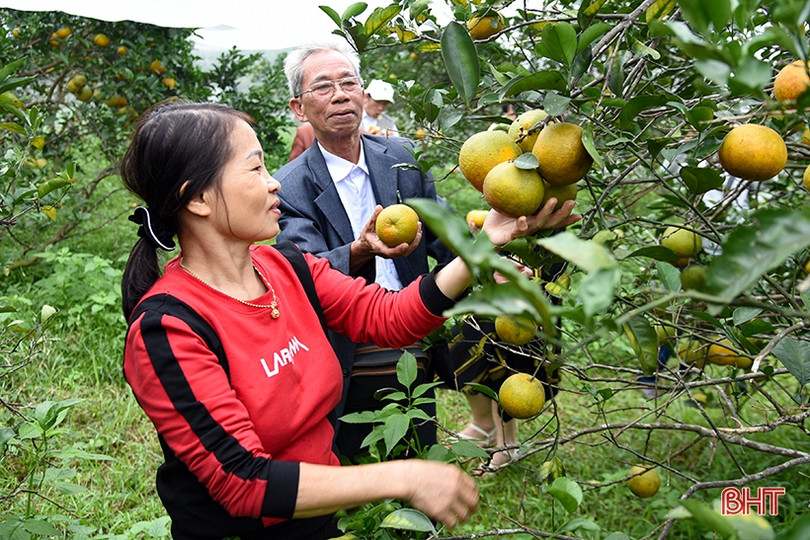 Văn nghệ sĩ đi thực tế sáng tác “Nông thôn Hà Tĩnh - Xưa và nay”