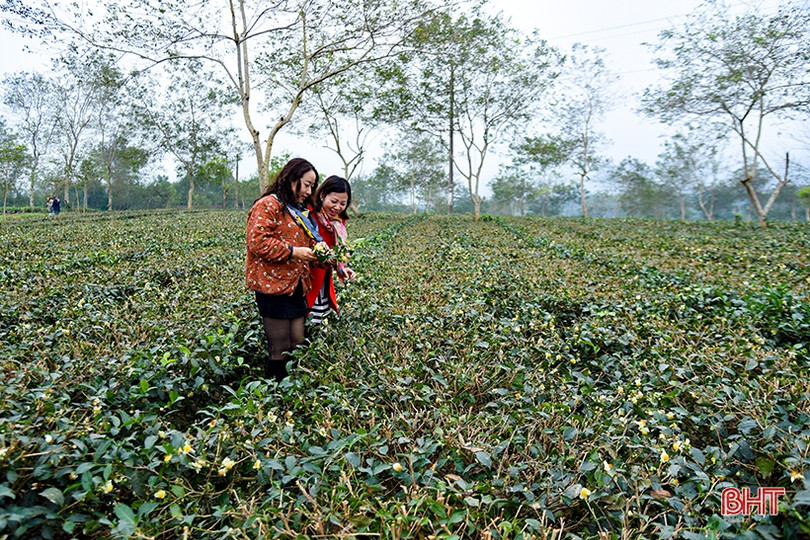Văn nghệ sĩ đi thực tế sáng tác “Nông thôn Hà Tĩnh - Xưa và nay”