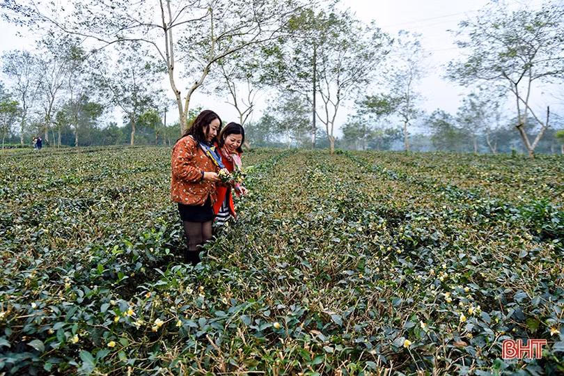 Văn nghệ sĩ đi thực tế sáng tác “Nông thôn Hà Tĩnh - Xưa và nay”