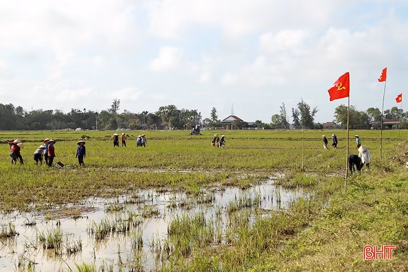 Hà Tĩnh khởi động cho mục tiêu tăng trưởng nông nghiệp 2,5%
