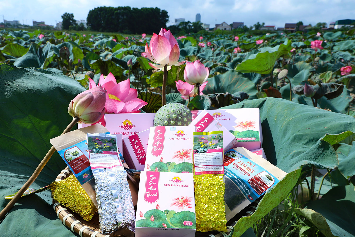 Xây dựng NTM ở Hà Tĩnh: Đi vào chiều sâu, hiệu quả và bền vững (Bài 2): Phát triển kinh tế nông thôn theo hướng hiện đại, hội nhập