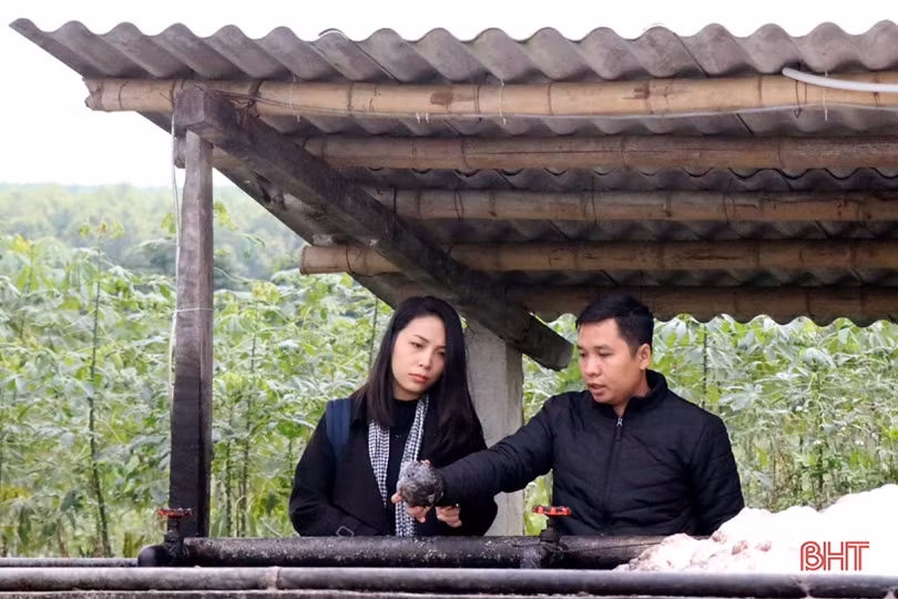 Chàng kỹ sư và anh nông dân trẻ Hà Tĩnh bắt tay xử lý nước thải chăn nuôi
