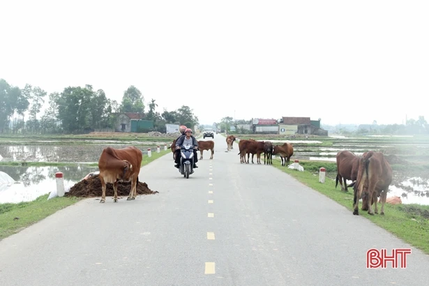 “Bắt cóc bỏ dĩa”, nhiều địa phương ở Hà Tĩnh tái diễn nạn họp chợ lấn đường!