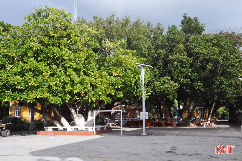 Mục sở thị “đội quân” tinh nhuệ bảo vệ Trường Sa