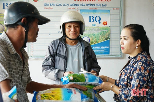 Cung ứng giống lúa ở Hà Tĩnh: Không ít doanh nghiệp “qua mặt” cơ quan quản lý