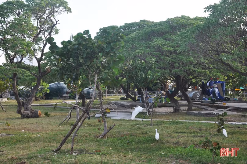 Bình yên xã đảo Song Tử Tây qua ống kính PV Báo Hà Tĩnh