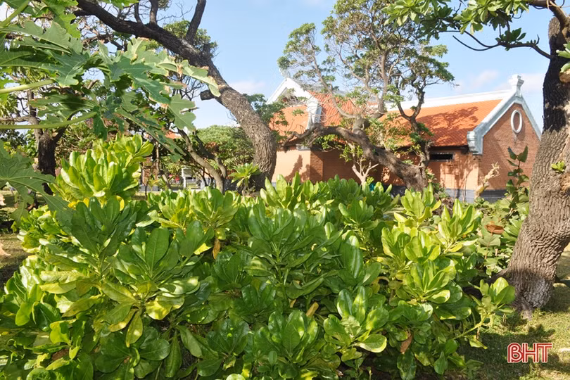 Mục sở thị “đội quân” tinh nhuệ bảo vệ Trường Sa