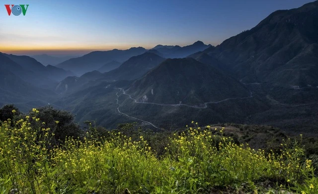 Sa Pa đẹp ngất ngây khi mùa xuân về