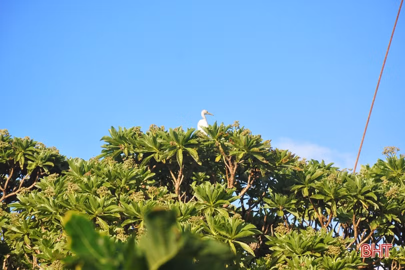 Mục sở thị “đội quân” tinh nhuệ bảo vệ Trường Sa